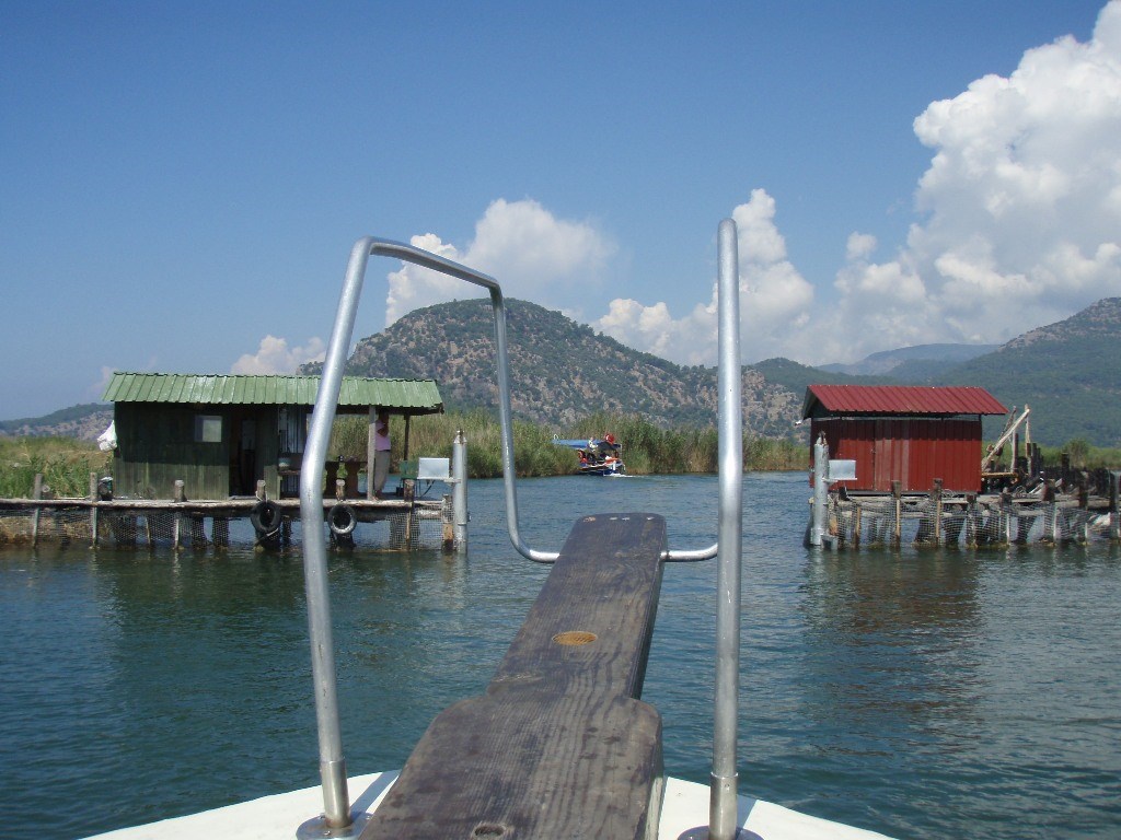 Dalyan Boat Turu