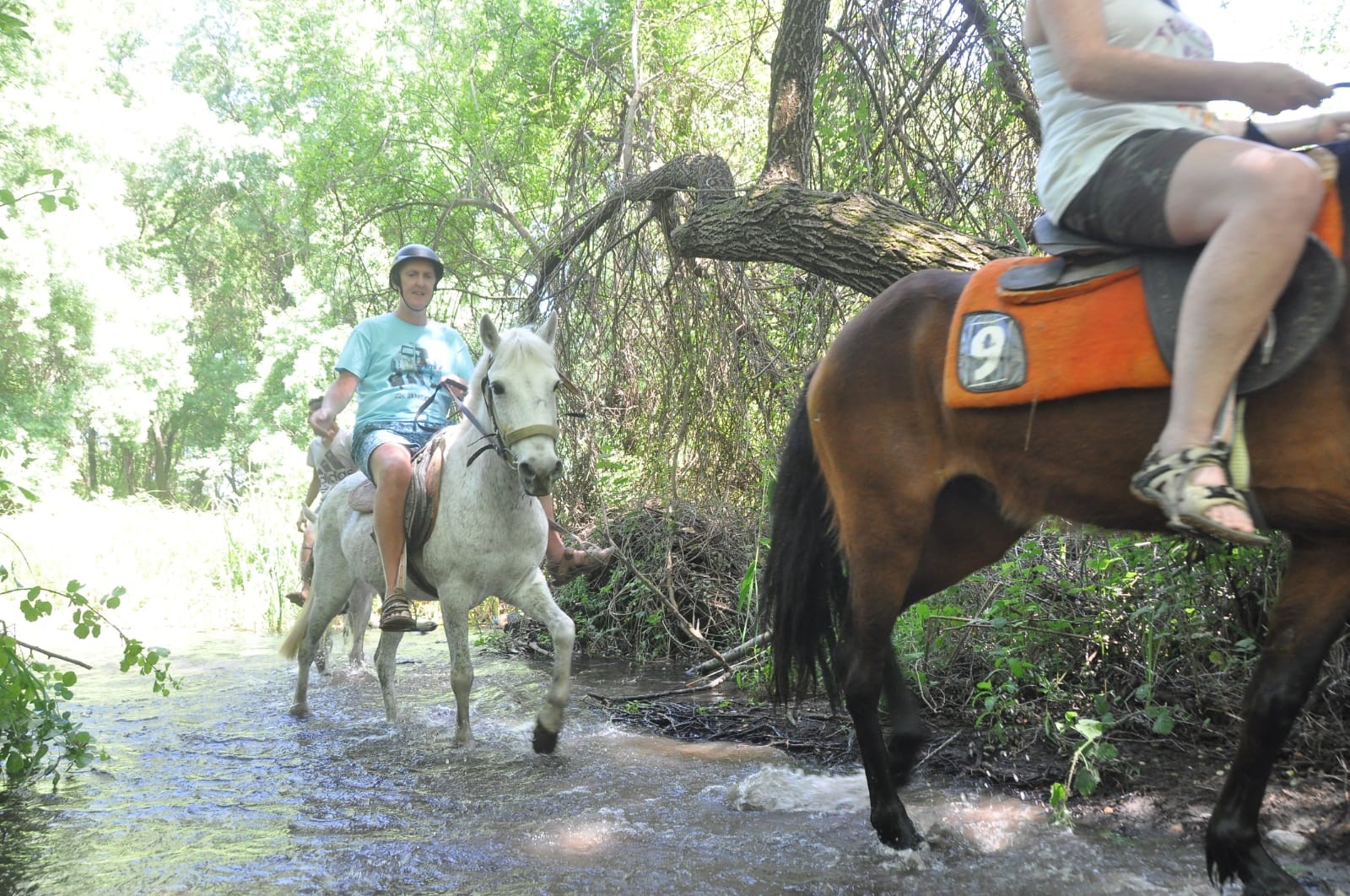 Fethiye Horse Riding Tour