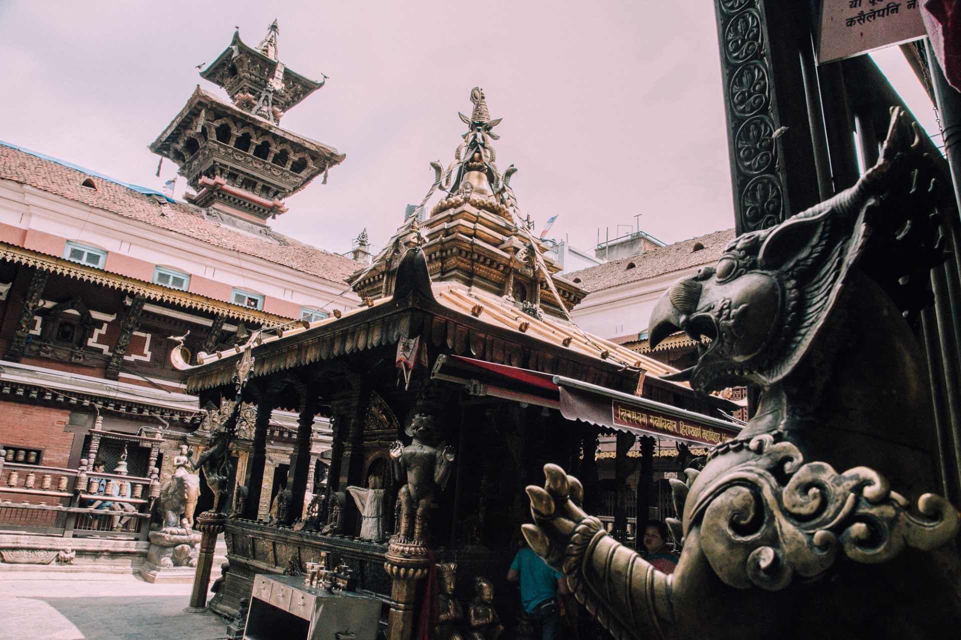 ﹟nepal8gun THY - 2027