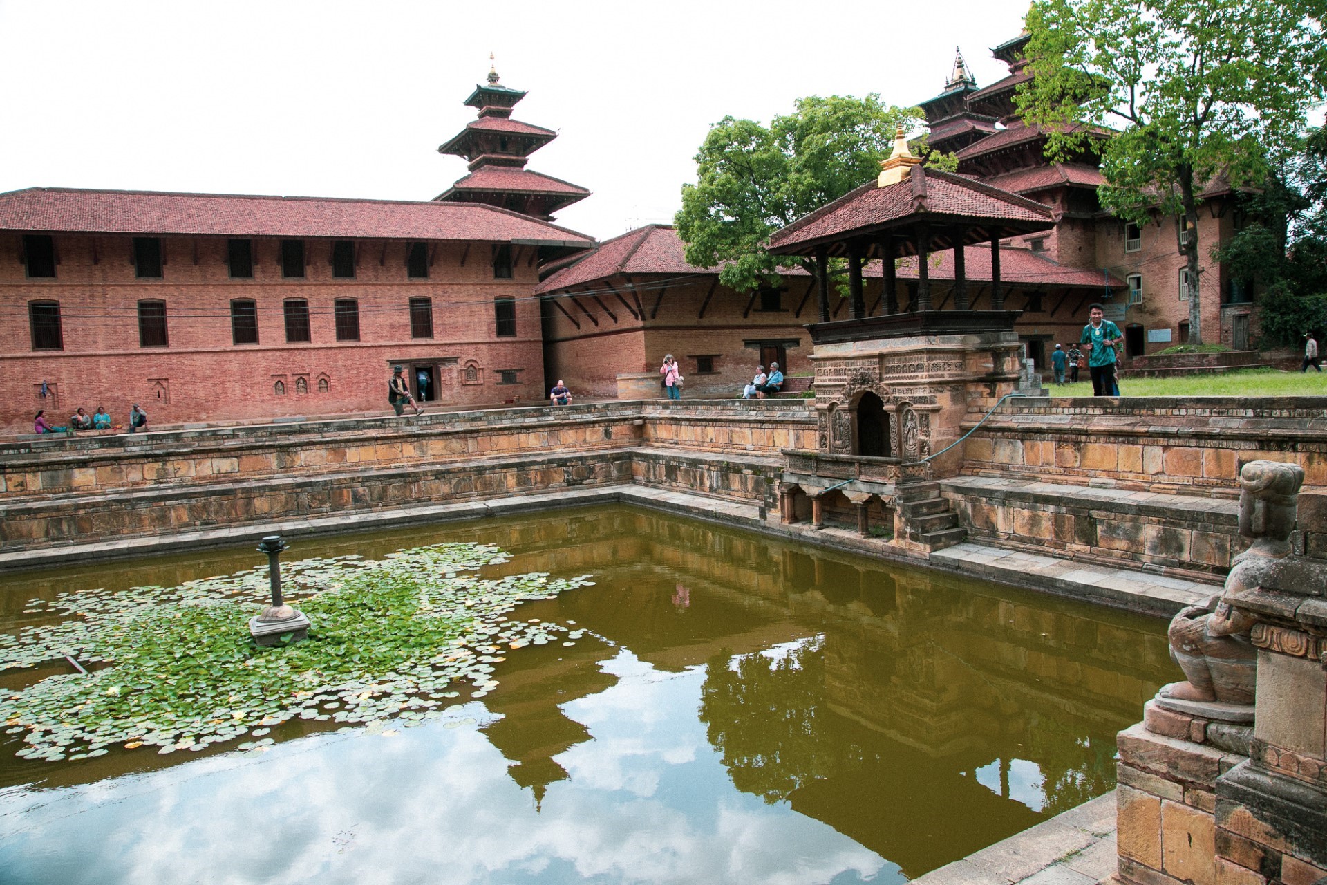 ﹟nepal8gun THY - 2027