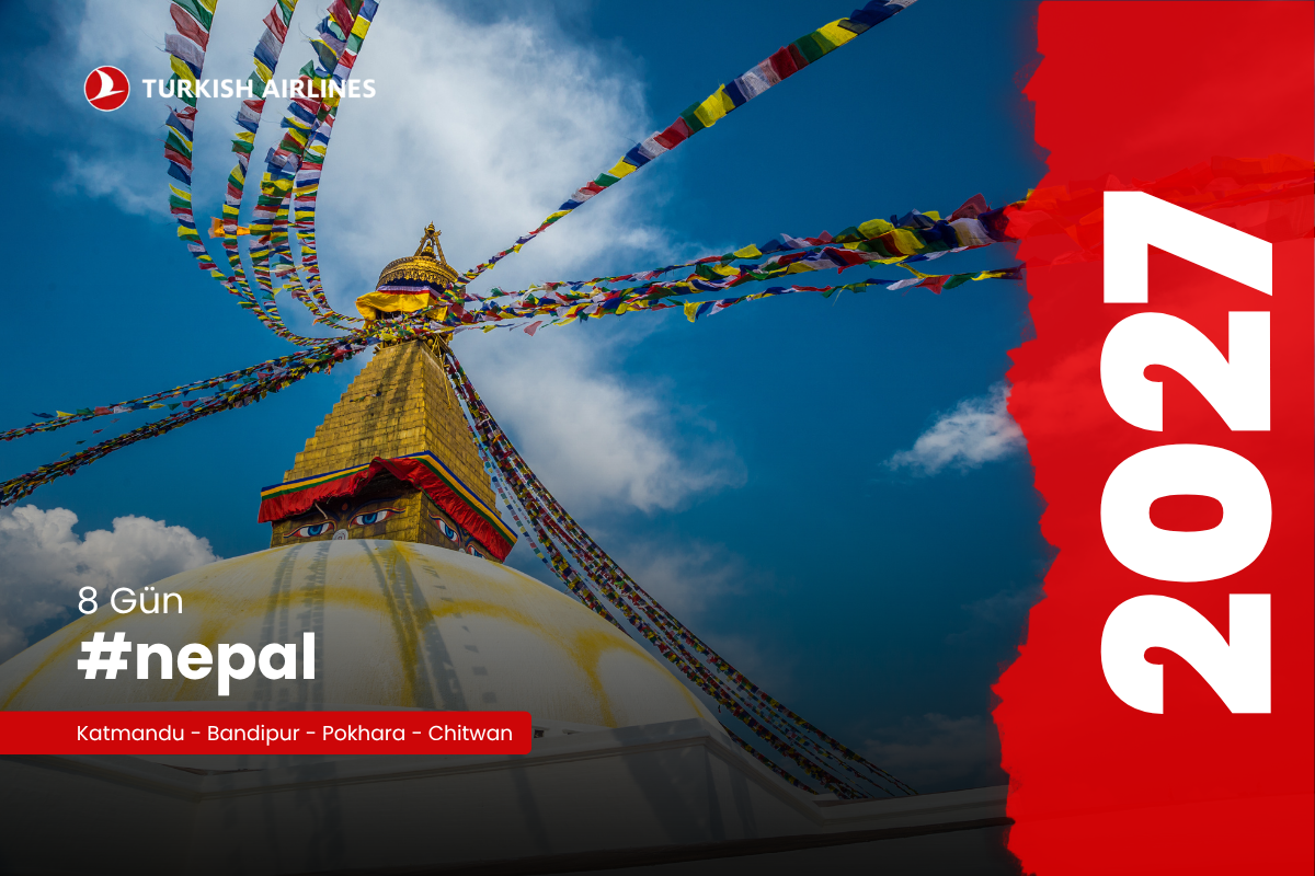 ﹟nepal8gun THY - 2027
