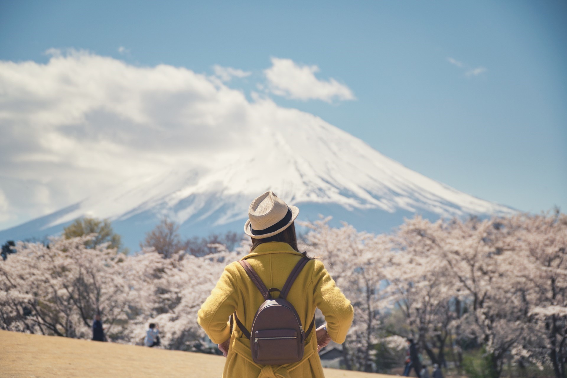 ﹟japonya-kore12gun-Asiana - 2027
