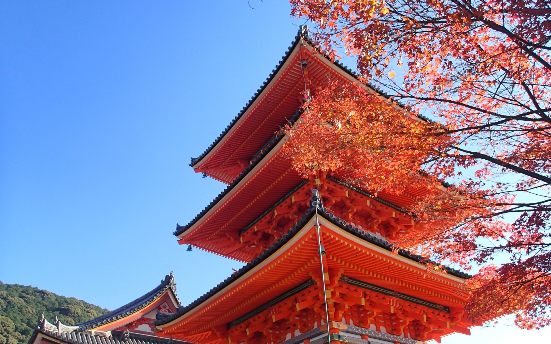 ﹟japonya-kore12gun-Asiana - 2027