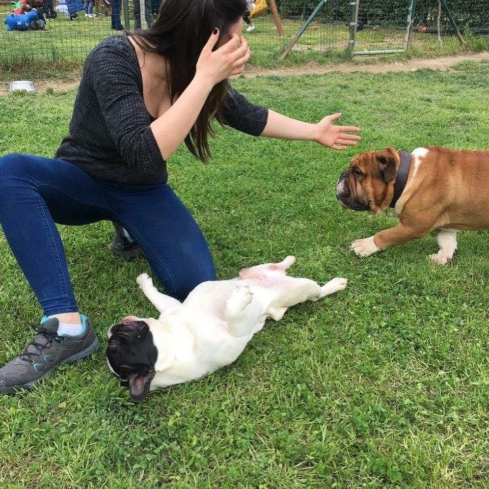 ...