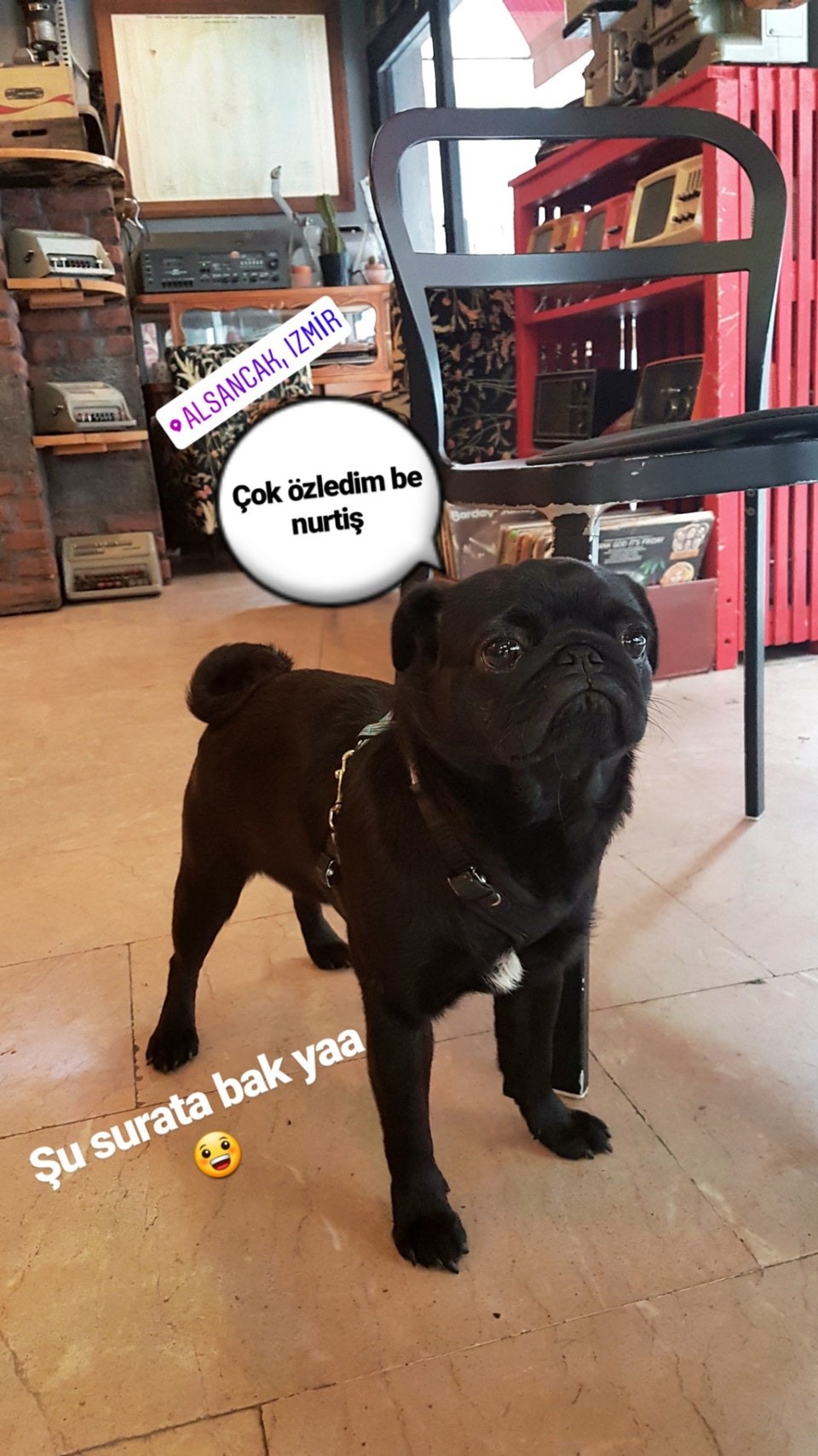 ...