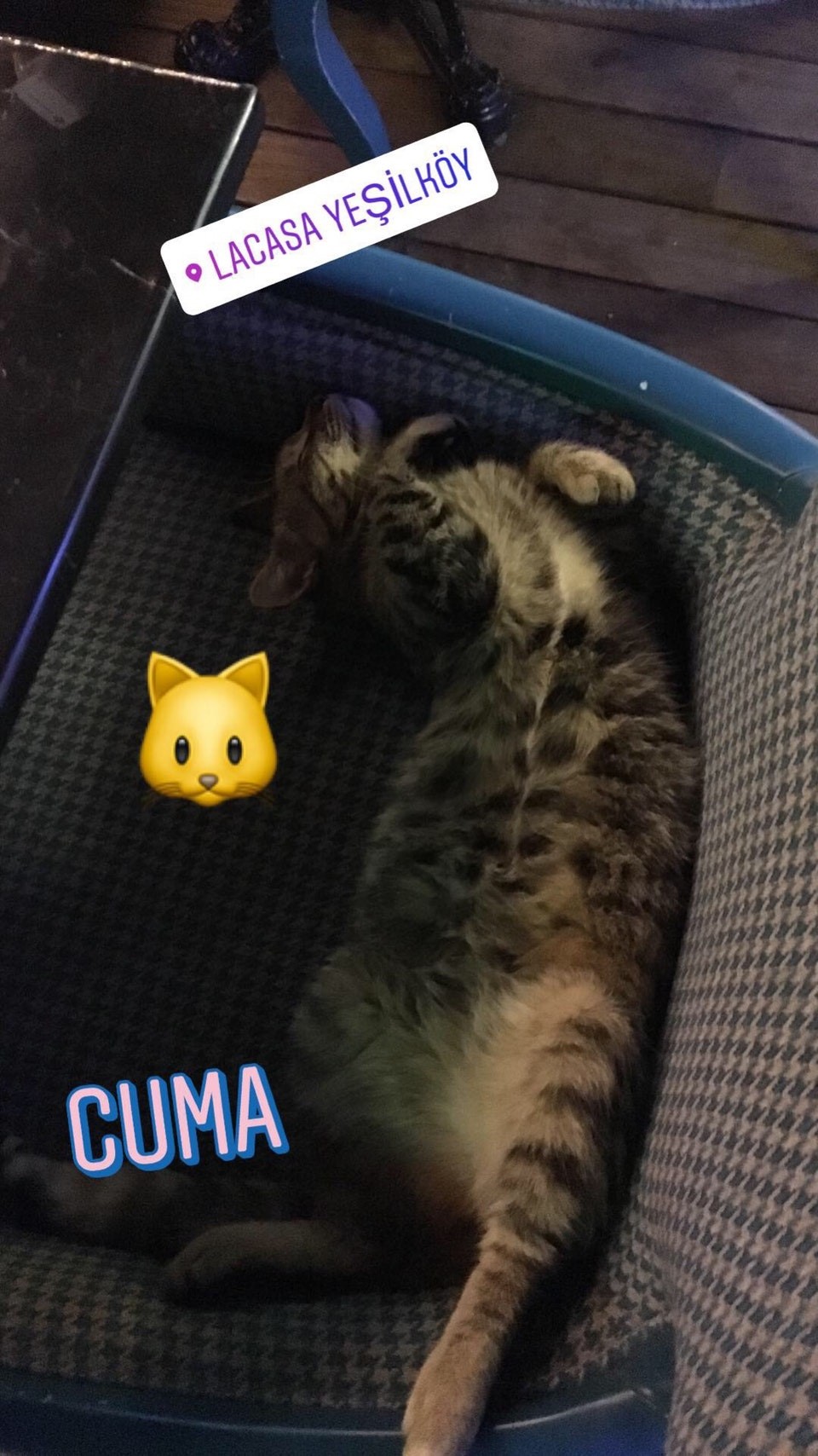 ...
