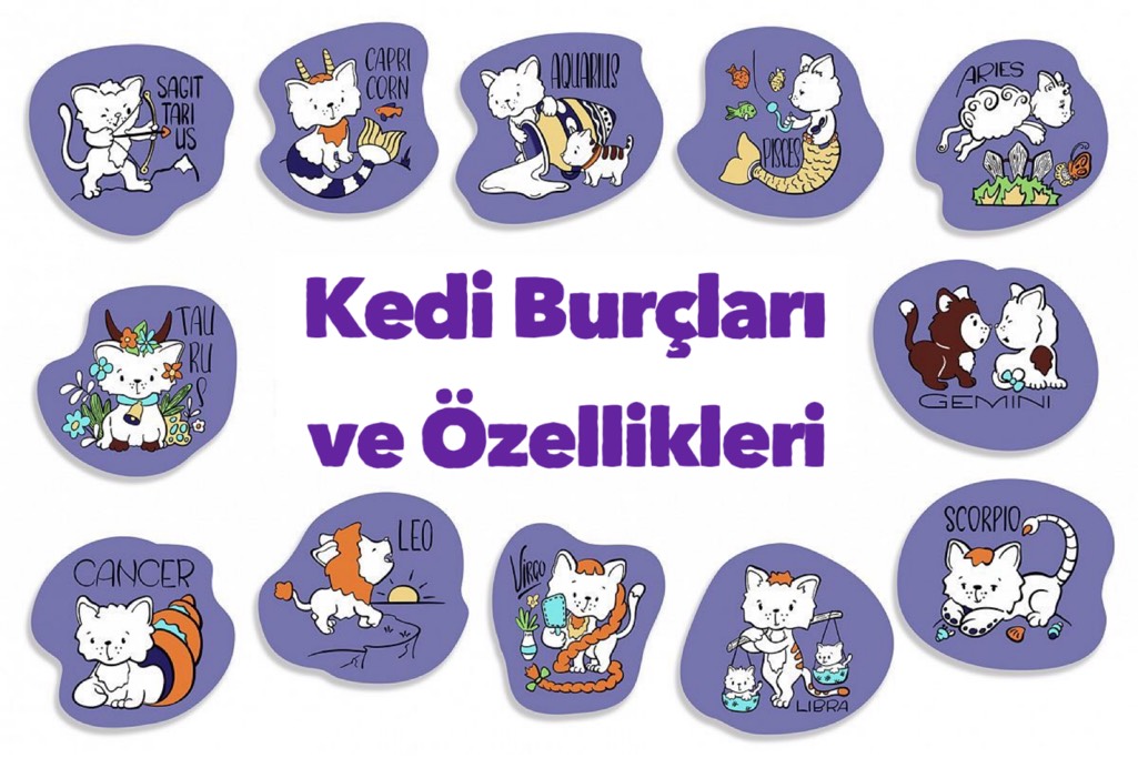 Kedilerin Burclari Ve Ozellikleri