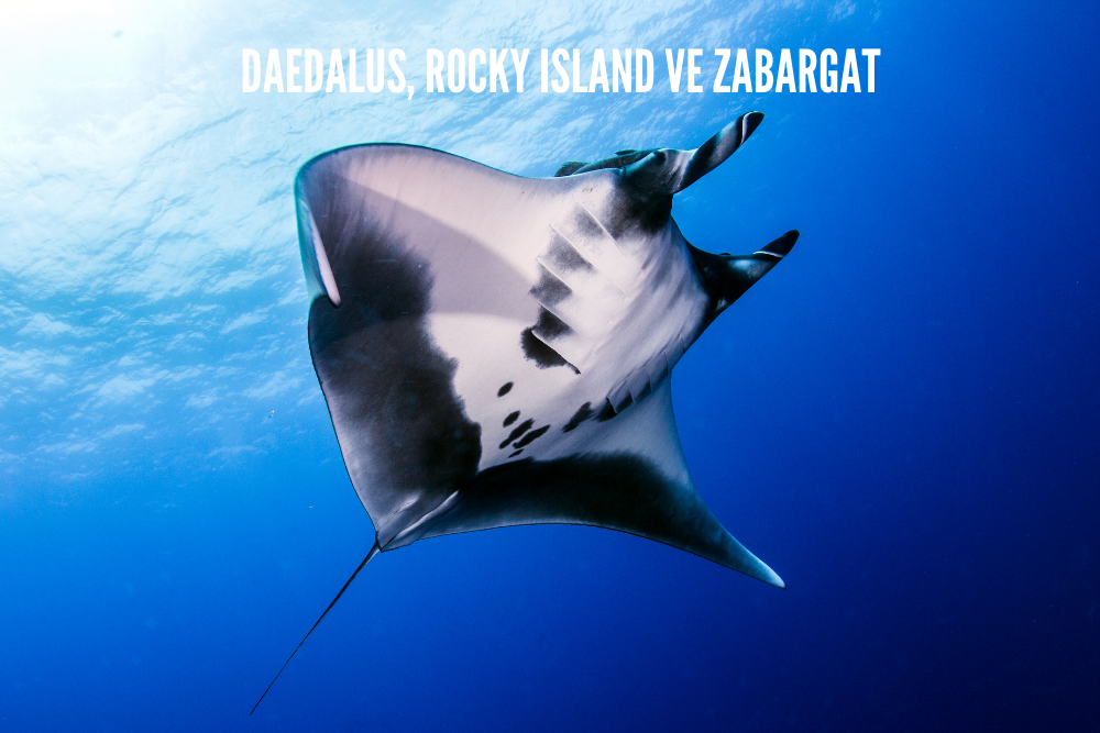 Daedalus-Rocky Island and Zabargat