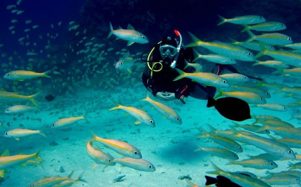 Sharm el Sheikh Diving Tour - Moving Every Week
