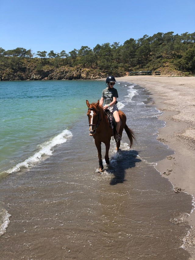 TRANQUIL BEACH HORSE BACK RIDING